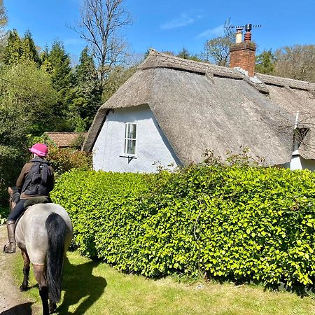 Pardlestone Farm Bed & Breakfast Kilve Eksteriør bilde