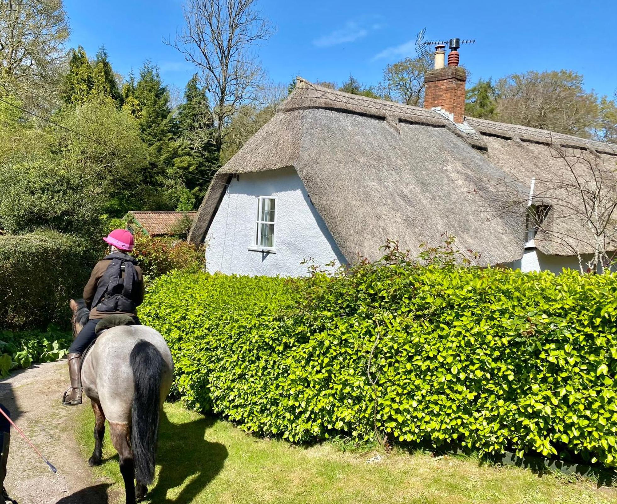 Pardlestone Farm Bed & Breakfast Kilve Eksteriør bilde