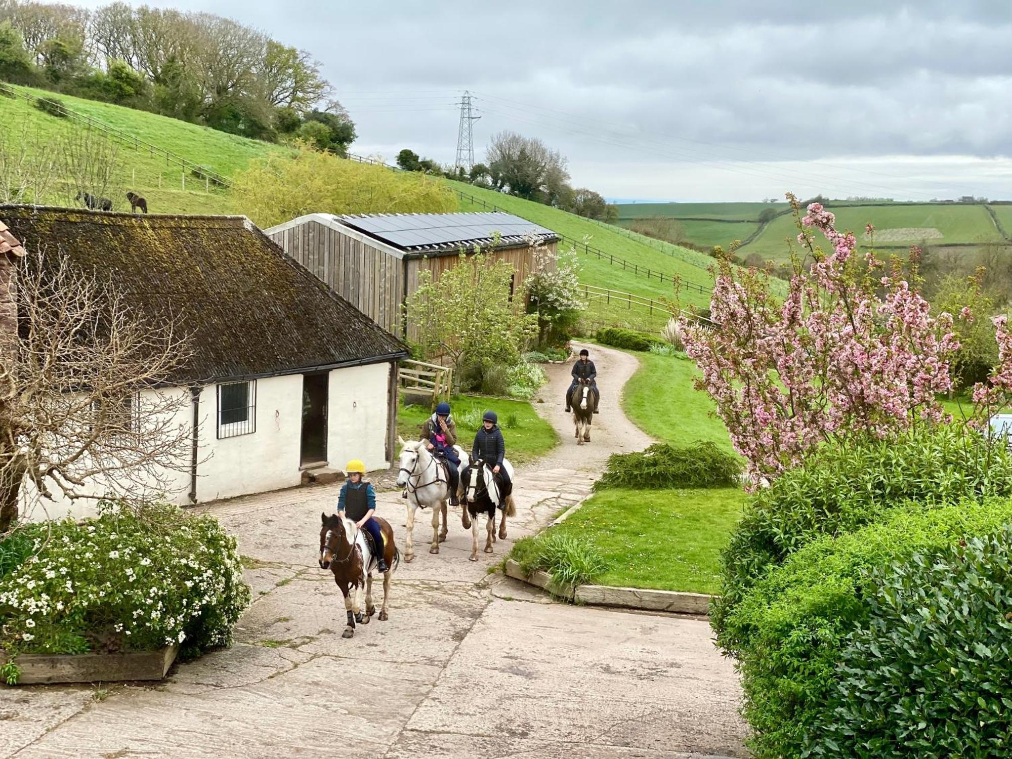 Pardlestone Farm Bed & Breakfast Kilve Eksteriør bilde