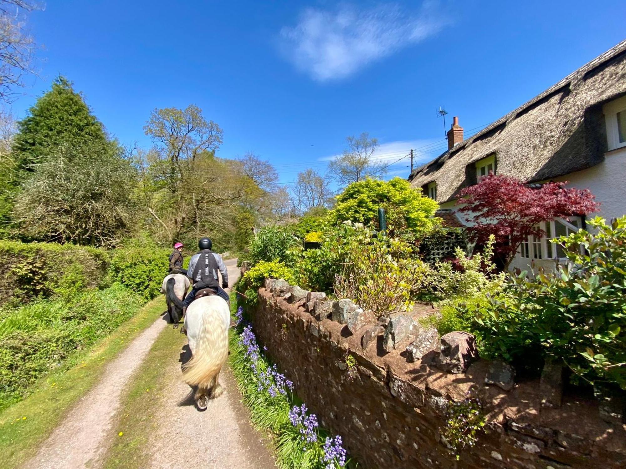 Pardlestone Farm Bed & Breakfast Kilve Eksteriør bilde