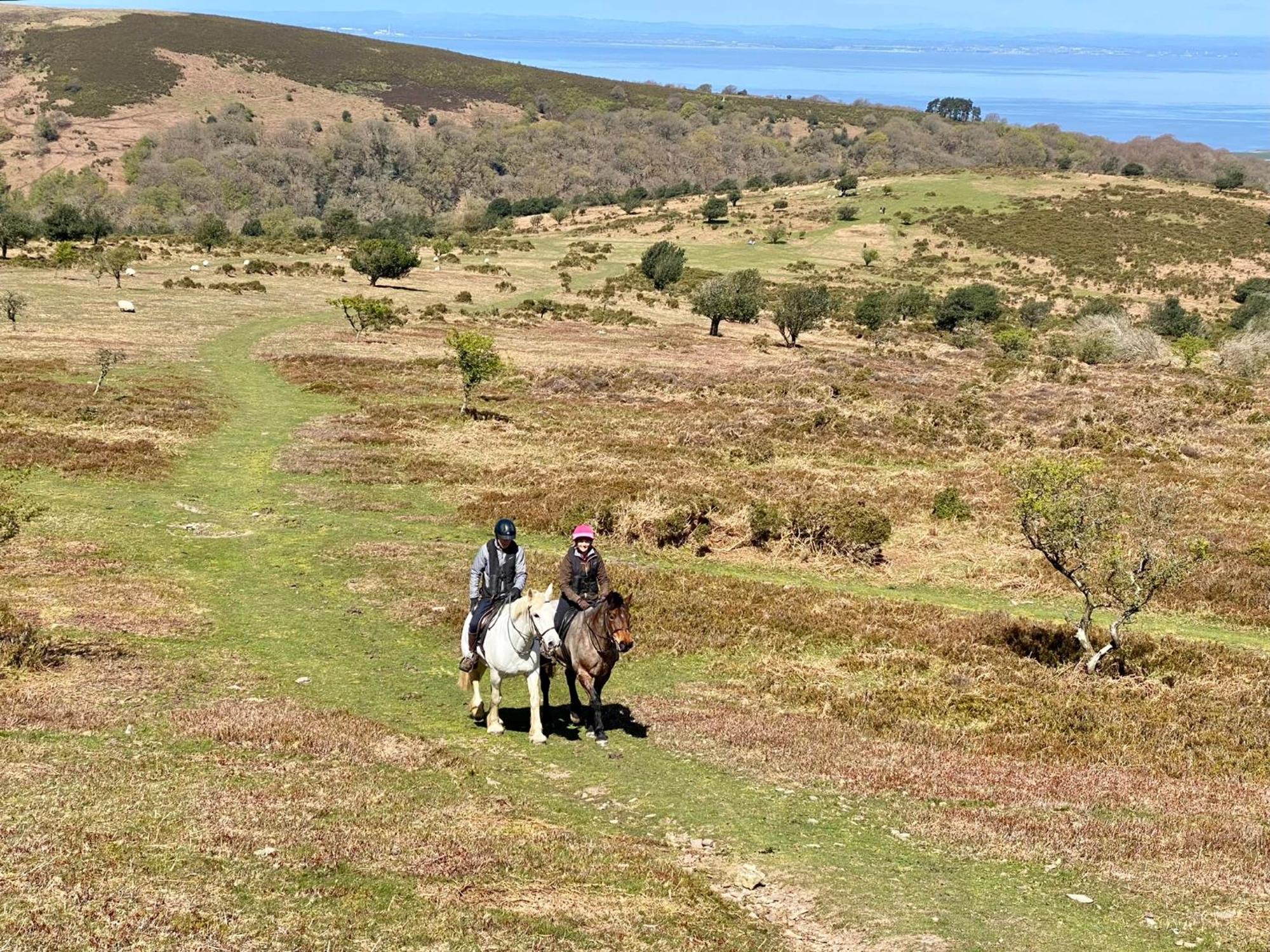 Pardlestone Farm Bed & Breakfast Kilve Eksteriør bilde