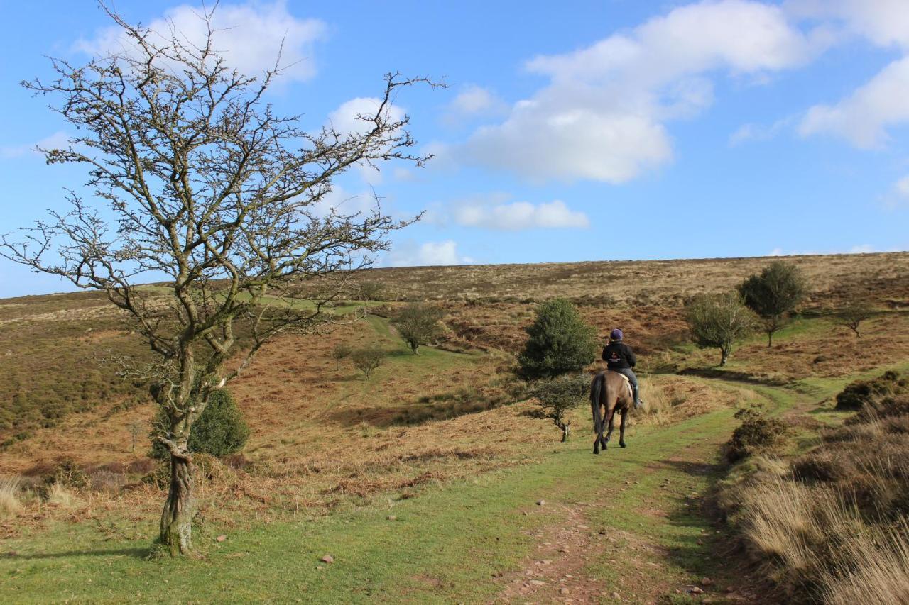 Pardlestone Farm Bed & Breakfast Kilve Eksteriør bilde